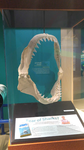 Imax Theater «Mcwane Center IMAX», reviews and photos, 205 19th St N, Birmingham, AL 35203, USA