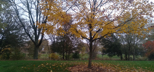 Park «Centennial Park», reviews and photos, 7800 W 171st St, Tinley Park, IL 60487, USA