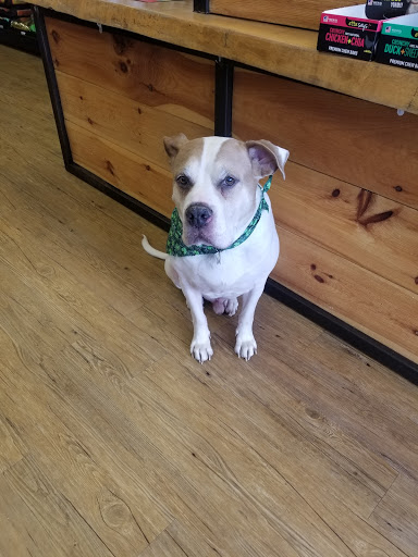 Pet Supply Store «EarthWise Pet Voorhees», reviews and photos, 154 NJ-73, Voorhees Township, NJ 08043, USA