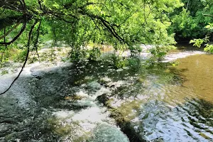 Speed River Trail image