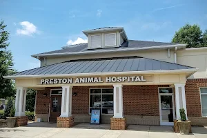 Preston Animal Hospital, A Thrive Pet Healthcare Partner image