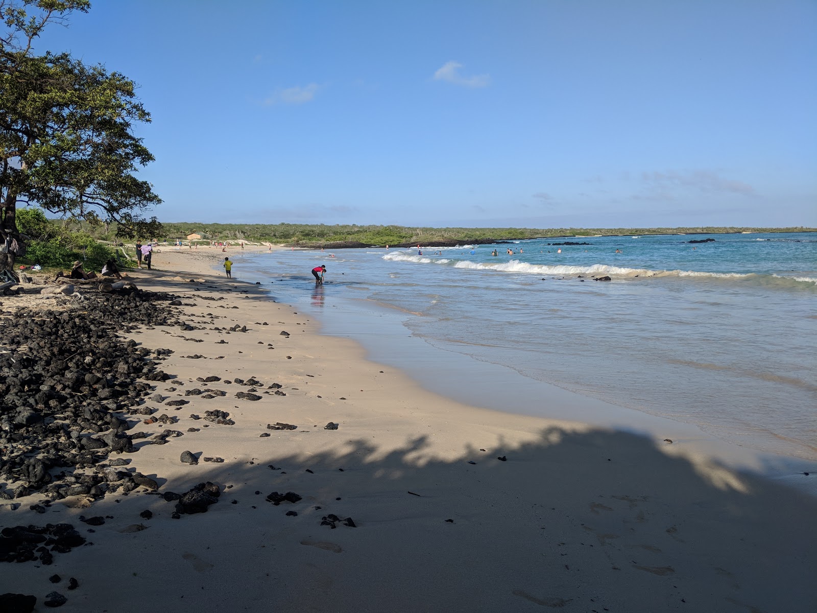 Foto di Playa El Garrapatero con baia lunga