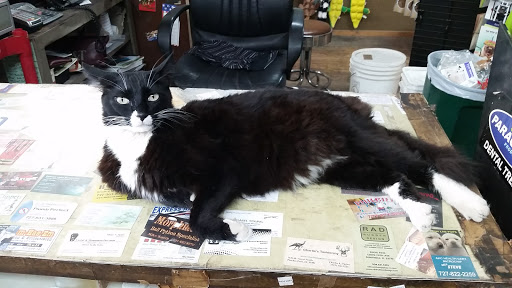 Pet Supply Store «Park Feed Store & Pet Supply», reviews and photos, 5775 Park Blvd N, Pinellas Park, FL 33781, USA