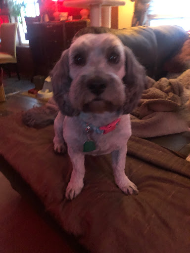 Pet Supply Store «Petco Animal Supplies», reviews and photos, 2901 32nd Ave S, Grand Forks, ND 58201, USA