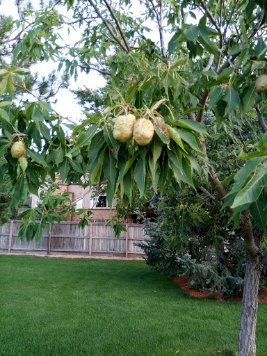 Park «Silo Park», reviews and photos, 9300 E Orchard Rd, Greenwood Village, CO 80111, USA