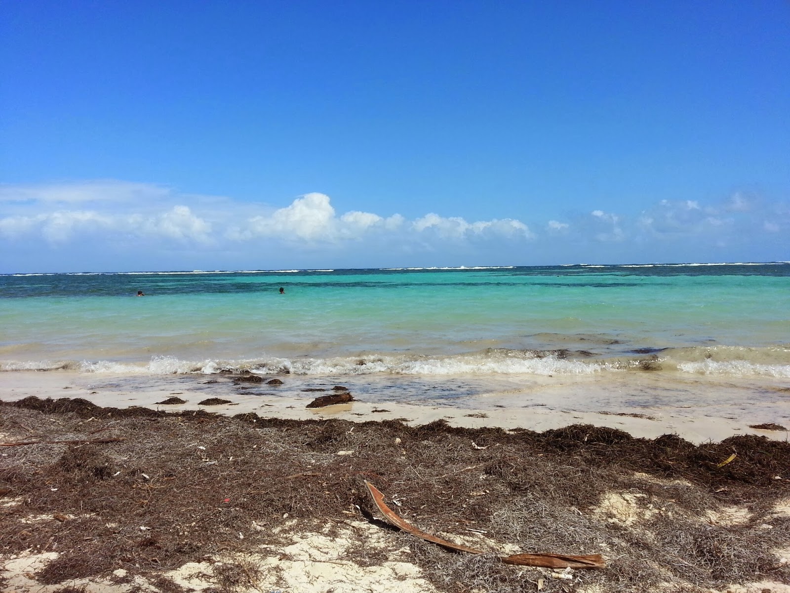 Anse Michel beach photo #9