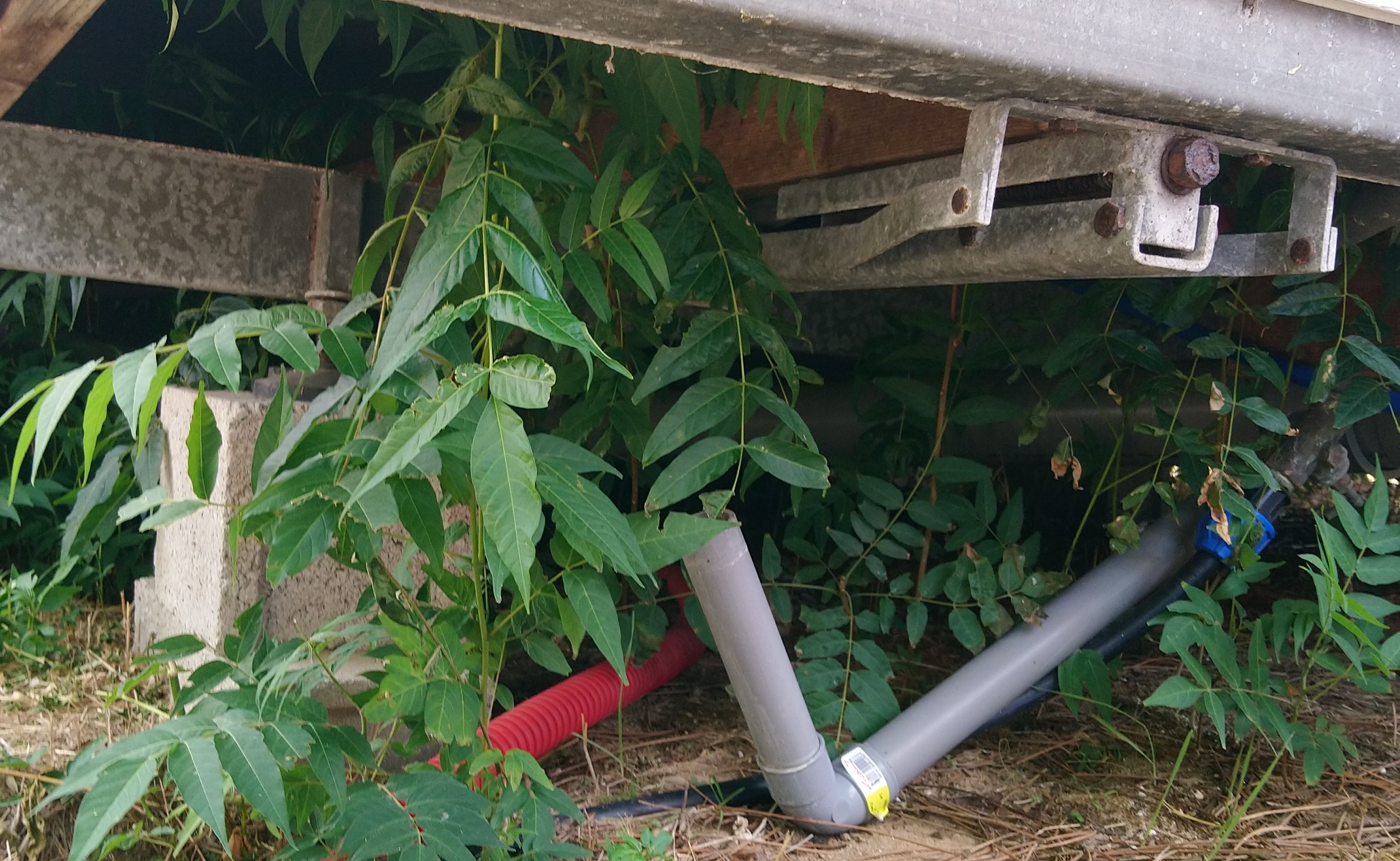 Photo n° 4 de l'avis de Julien.a fait le 20/09/2022 à 11:22