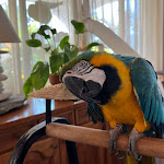 Photo n°12 de l'avis de Vitalie.o fait le 06/09/2023 à 06:59 sur le  Hotel Torre à Celle Ligure