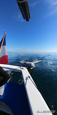 KROG E BARZ à Arzon