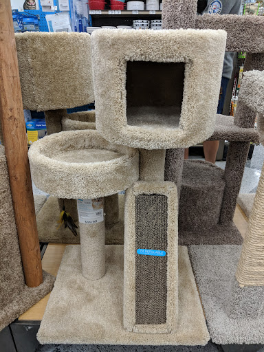 Pet Supply Store «Petco Animal Supplies», reviews and photos, 5215 Lakewood Blvd, Lakewood, CA 90712, USA