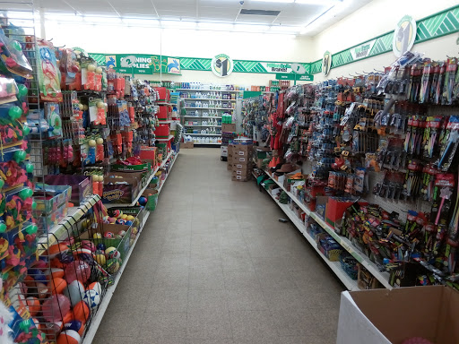 Dollar Store «Dollar Tree», reviews and photos, 1466 N Woodland Blvd, DeLand, FL 32720, USA