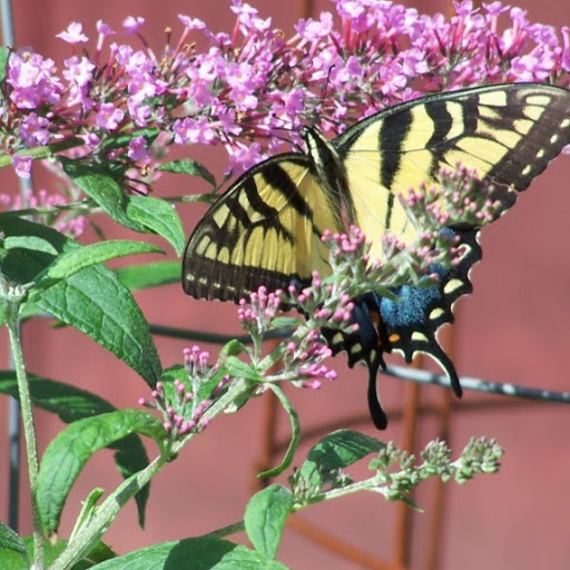 Beauty Salon «Chrysalis Hair Designs», reviews and photos, 1285 Cherry Valley Rd, Newark, OH 43055, USA