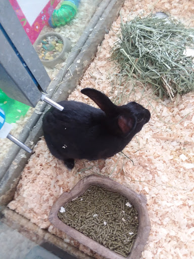 Pet Store «Wet Pets N Critters», reviews and photos, 103 TX-281 Loop, Longview, TX 75605, USA