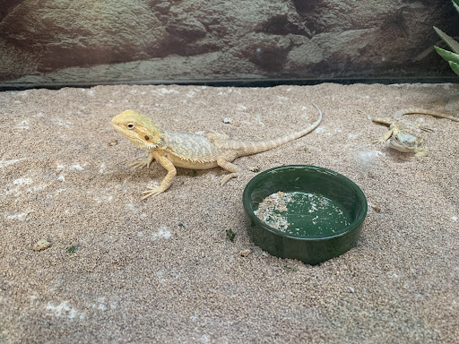 Pet Supply Store «Petco Animal Supplies», reviews and photos, 308 E Meighan Blvd, Gadsden, AL 35903, USA