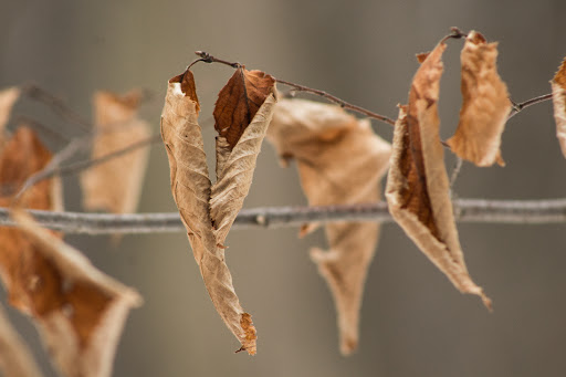 Nature Preserve «Sourland Mountain Preserve», reviews and photos, 421 E Mountain Rd, Hillsborough Township, NJ 08844, USA