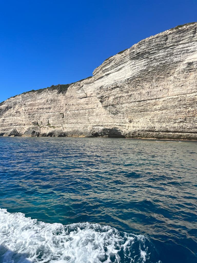 Photo n° 9 de l'avis de DESOLI.l fait le 12/09/2022 à 14:52