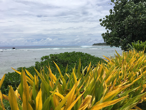 Travel Agency «Sea Escape Travel», reviews and photos, 2795 E Bidwell St, Folsom, CA 95630, USA