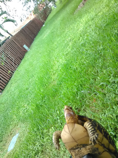 Country Club «Miccosukee Golf & Country Club», reviews and photos, 6401 Kendale Lakes Dr, Miami, FL 33183, USA