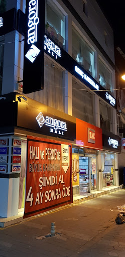 genc kartallar hali ilkadim samsun