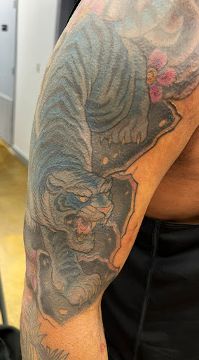 Explore morel mushroom tattoo ideas, creative tattoo ideas in Norco, available at Live Canvas Tattoo Parlour