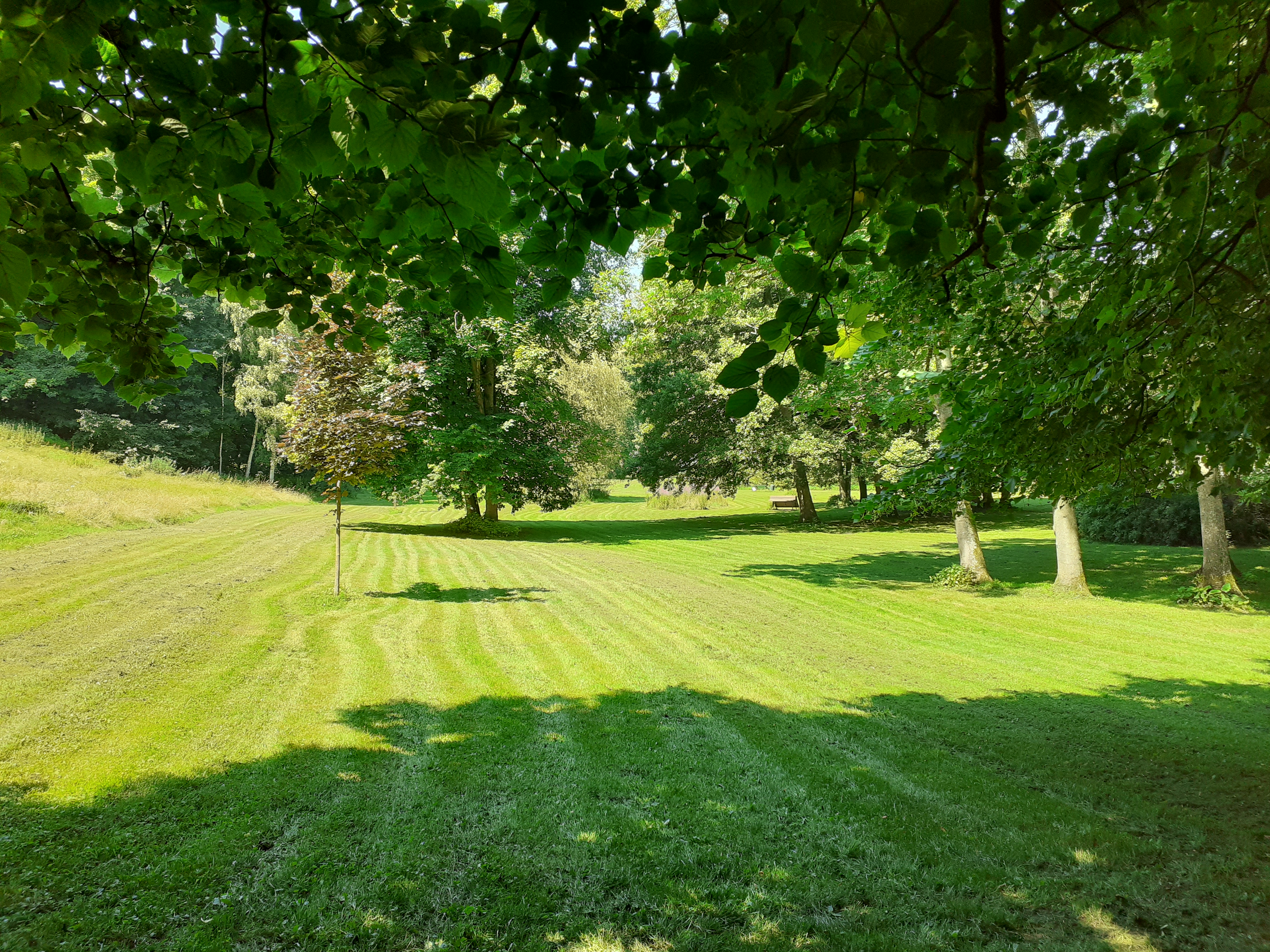 Photo n° 1 de l'avis de JCAL.a fait le 20/07/2021 à 16:56