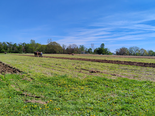 Nature Preserve «DeVries Nature Conservancy», reviews and photos, 2635 N Michigan 52, Owosso, MI 48867, USA