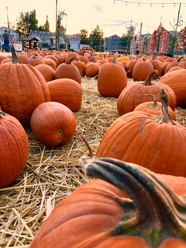 Produce Market «Kuwahara Farms», reviews and photos, 736 12300 S, Draper, UT 84020, USA