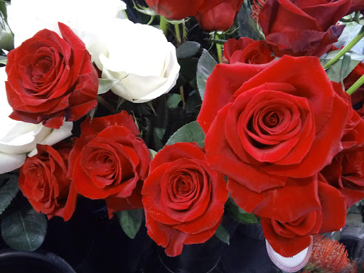 Grocery Store «New Seasons Market Mountain Park», reviews and photos, 3 Monroe Pkwy, Lake Oswego, OR 97035, USA