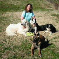 Meadowbrooke Kennels - Photo 4 - Car repair in Knoxville, TN, Knoxville