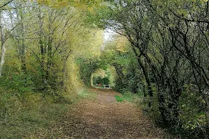 Alexandrina Plantation Nature Reserve image