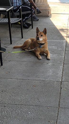 Coffee Shop «Starbucks», reviews and photos, 2450 E Main St, Bexley, OH 43209, USA