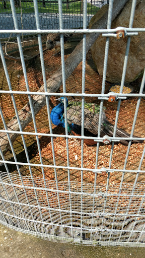 Water Park «Enchanted Forest Water Safari», reviews and photos, 3183 NY-28, Old Forge, NY 13420, USA