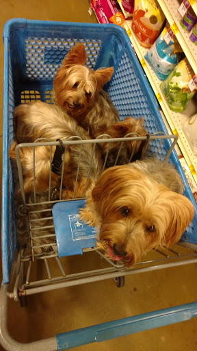 Pet Supply Store «PetSmart», reviews and photos, 380 S State Rd 434, Altamonte Springs, FL 32714, USA