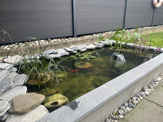 Yasiflor GmbH Schweiz, Gartenbau, Gartenpflege, Gartenarchitektur, Schwimmbad, Schwimmteich, Biopool, Naturpool, - Gartenbauer