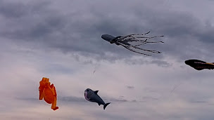 Photo n°40 de Les planches à Dieppe ()