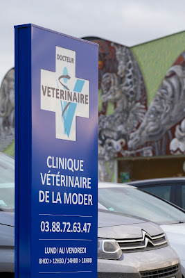 CLINIQUE VETERINAIRE DE LA MODER à Pfaffenhoffen