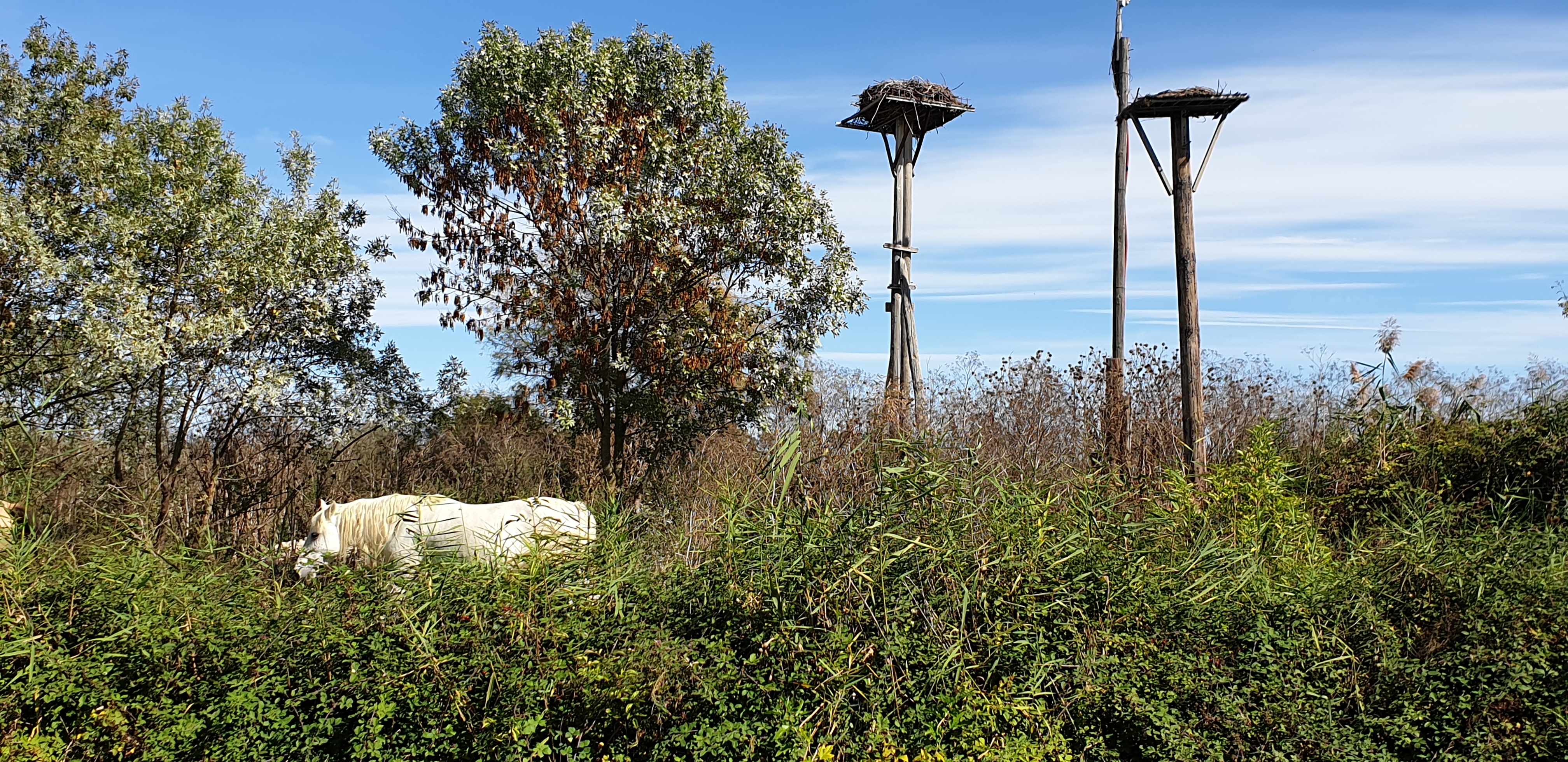 Photo n° 13 de l'avis de Benoît.e fait le 04/10/2019 à 13:52