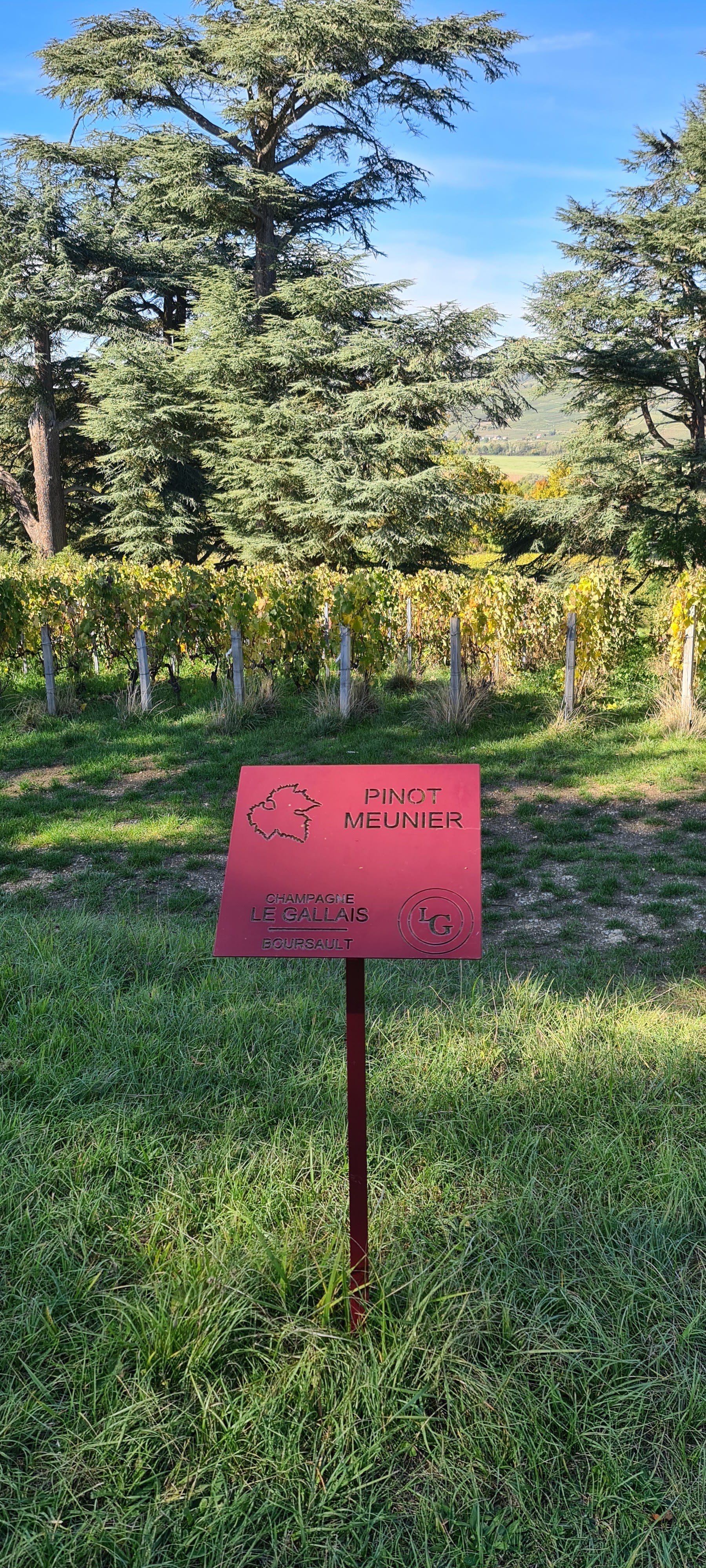 Photo n° 43 de l'avis de V... fait le 04/10/2022 à 16:31