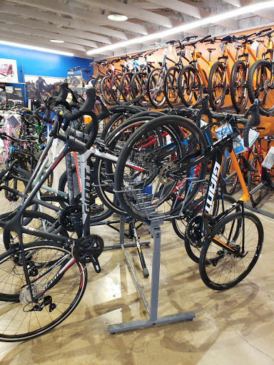 Bicycle Store «Golden Spoke Cyclery», reviews and photos, 6710 W Thunderbird Rd, Peoria, AZ 85381, USA