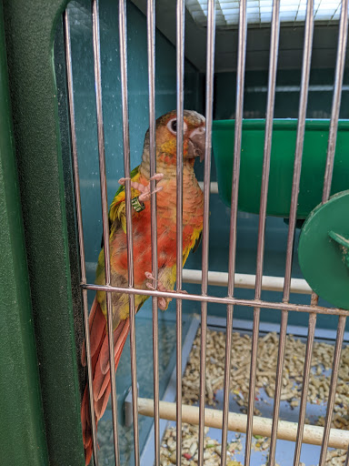 Pet Supply Store «Pet Supplies Plus», reviews and photos, 7315 Mentor Ave, Mentor, OH 44060, USA