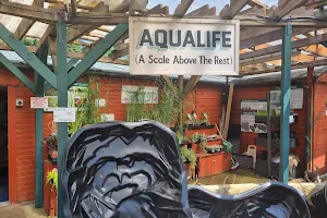 Aqualife Leyland image