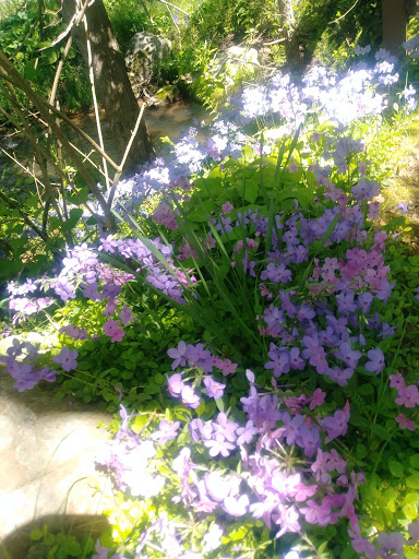 Gift Shop «Stonehedge Gardens», reviews and photos, 51 Dairy Rd, Tamaqua, PA 18252, USA