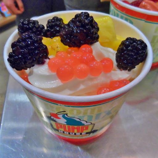 Frozen Yogurt Shop «The Pump House Frozen Yogurt Bar - Grand Rapids», reviews and photos, 2090 Celebration Dr NE #120, Grand Rapids, MI 49525, USA