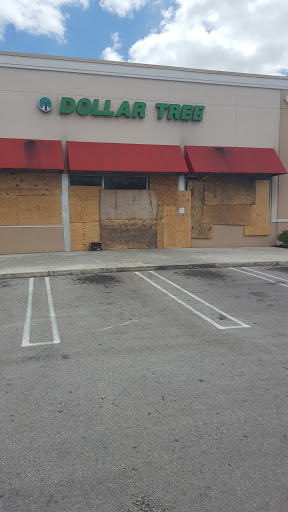 Dollar Store «Dollar Tree», reviews and photos, 11530 W Sample Rd, Coral Springs, FL 33065, USA