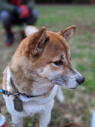 Park «Meridian Hill Park», reviews and photos, 2400 15th St NW, Washington, DC 20009, USA