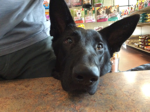 Pet Store «Exclusive Pet Supply», reviews and photos, 21829 NE Halsey St, Fairview, OR 97024, USA