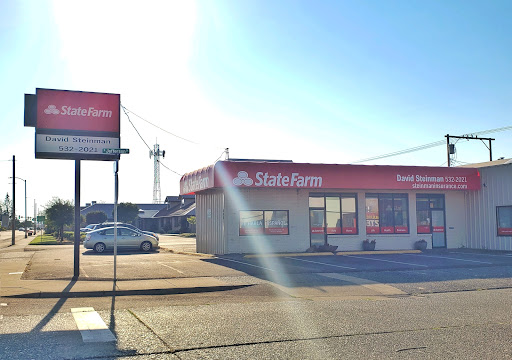 Insurance Agency «David Steinman - State Farm Insurance Agent», reviews and photos