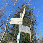 Photo n°6 de l'avis de Margarete. fait le 25/04/2023 à 17:49 sur le  Zuflucht à Freudenstadt