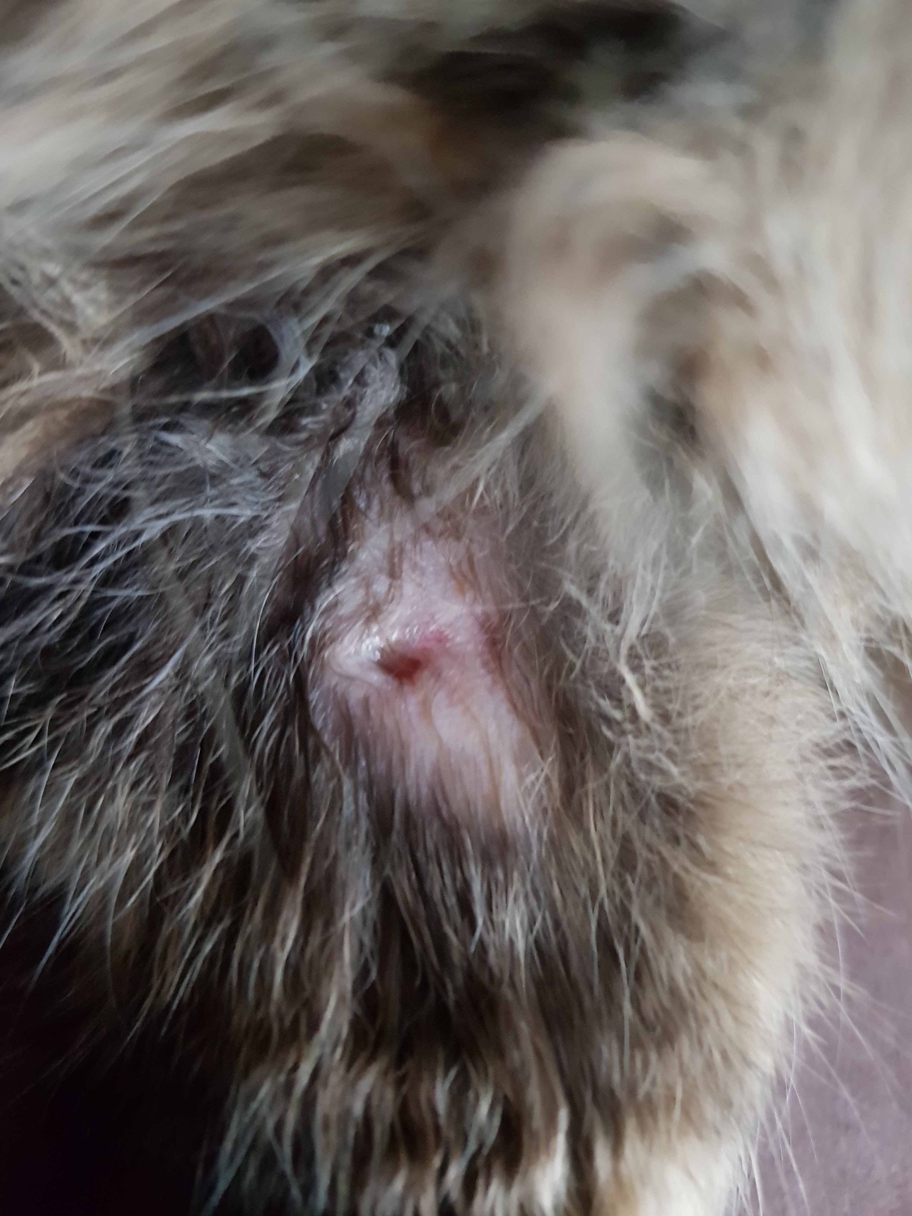 Photo n° 2 de l'avis de Gene.G fait le 17/05/2019 à 14:02