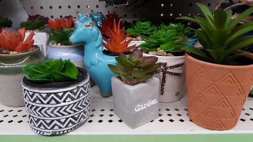 Discount Store «Dollar General», reviews and photos, 5034 Hann Way, Mechanicsburg, PA 17055, USA